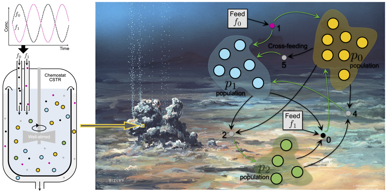 Image: Flow reactor of the Araudia simulation platform which hosts cross-feeding protocell ecologies