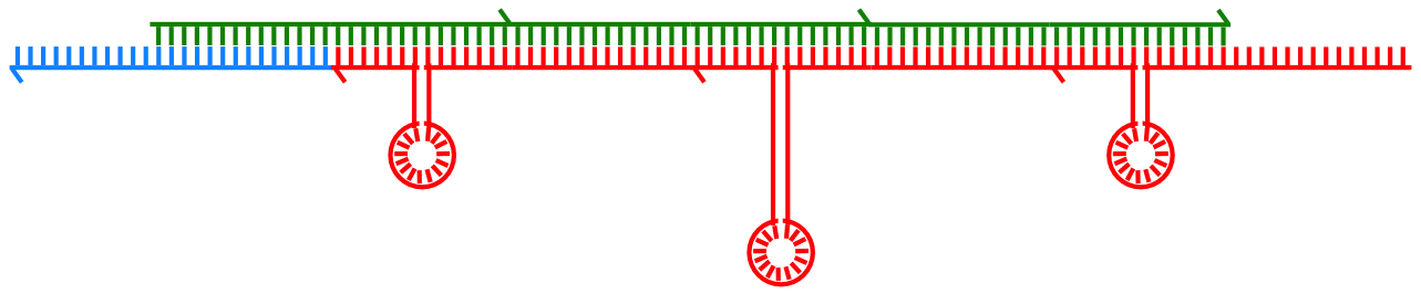 Image: A DNA polymer used to store information in the DNA stack memory