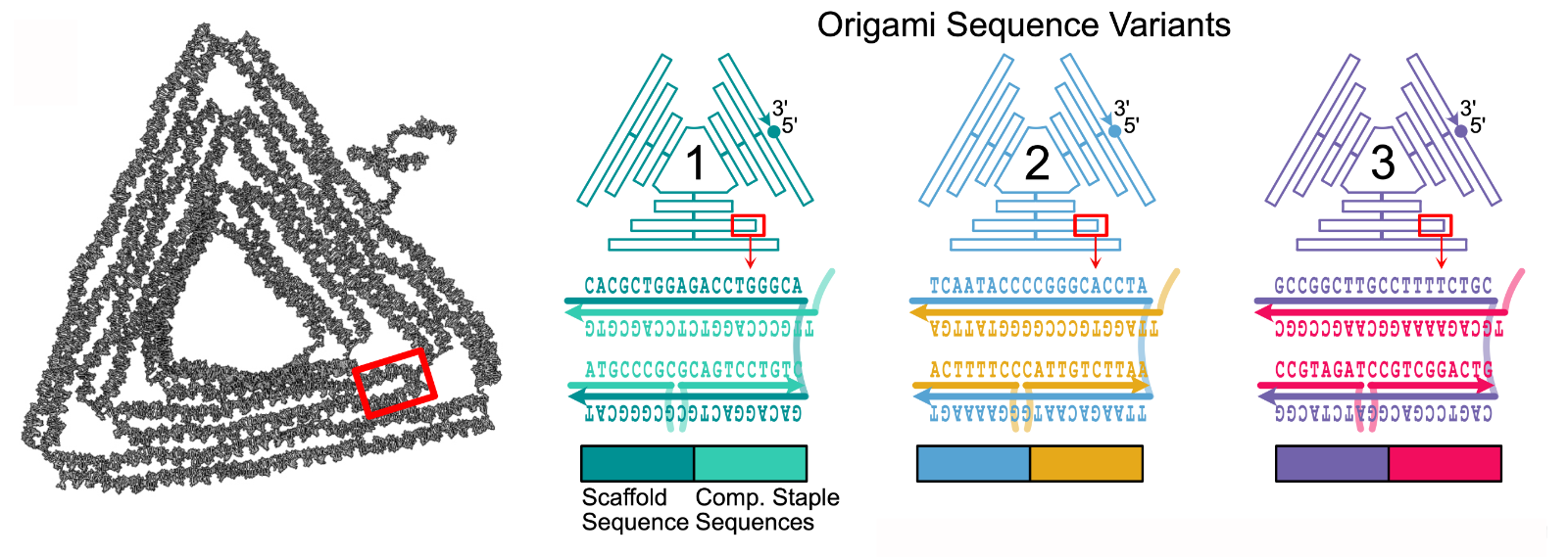 Image: DNA origami triangle and three different DNA sequence schemes which can make it self-assemble