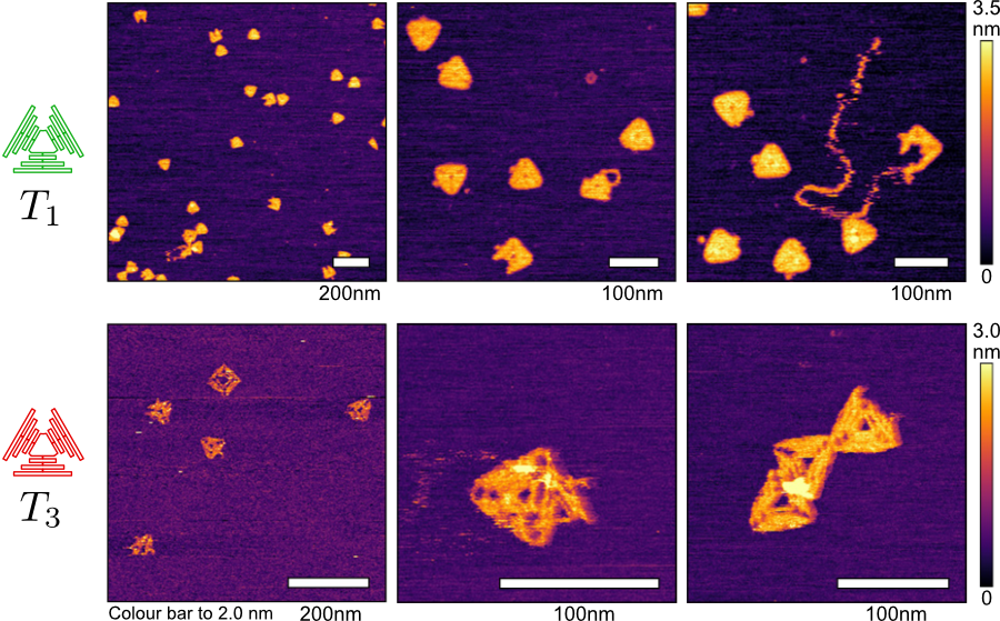 Image: DNA origami triangles with good and bad self-assembly